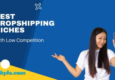 Dropshipping niches with low Competition